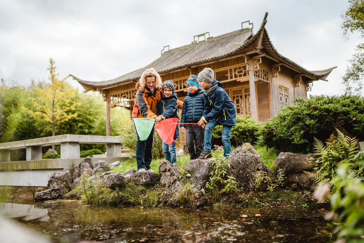 Heike Merten zeigt Kindern das Keschern im Teich.