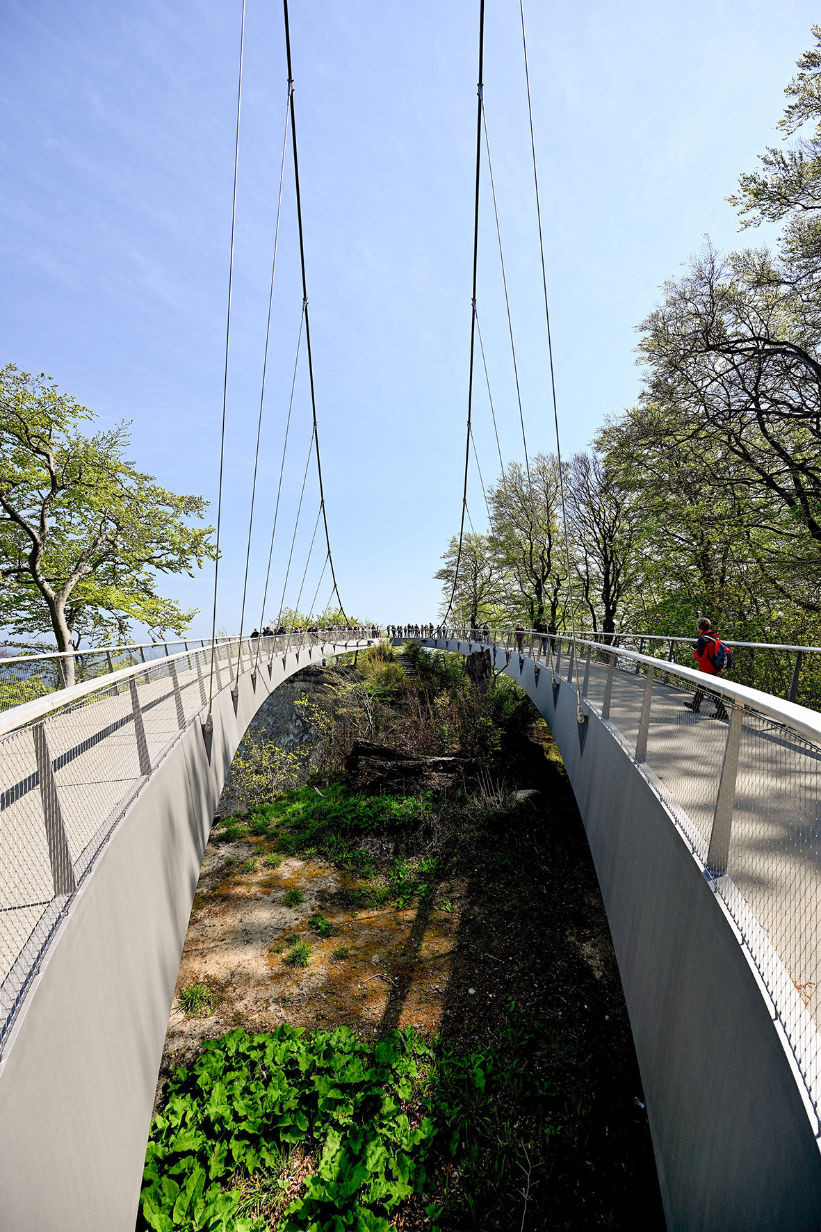 Insel Rügen, Königsstuhl, der neue Skywalk 2024 Insel Rügen, Königsstuhl, der neue Skywalk in luftiger Höhe führt über den Kreidefelsen und bietet einen fantastischen Ausblick.