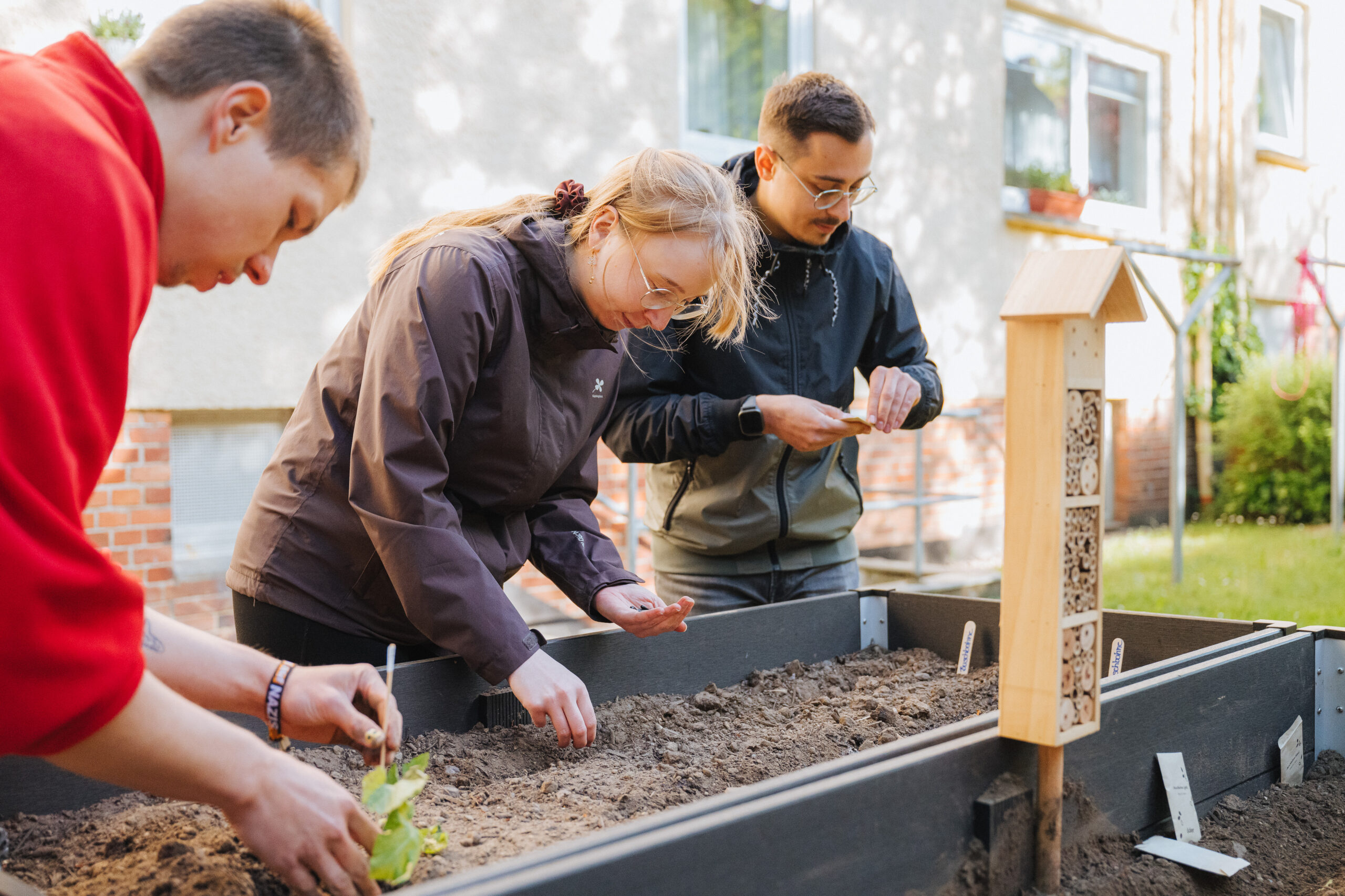 Zwei junge Männer und eine junge Dame mit rotblonden Haaren und Brille säen in einem Hochbeet Pflanzensamen aus. Vor dem Hochbeet steht ein Insektenhotel.
