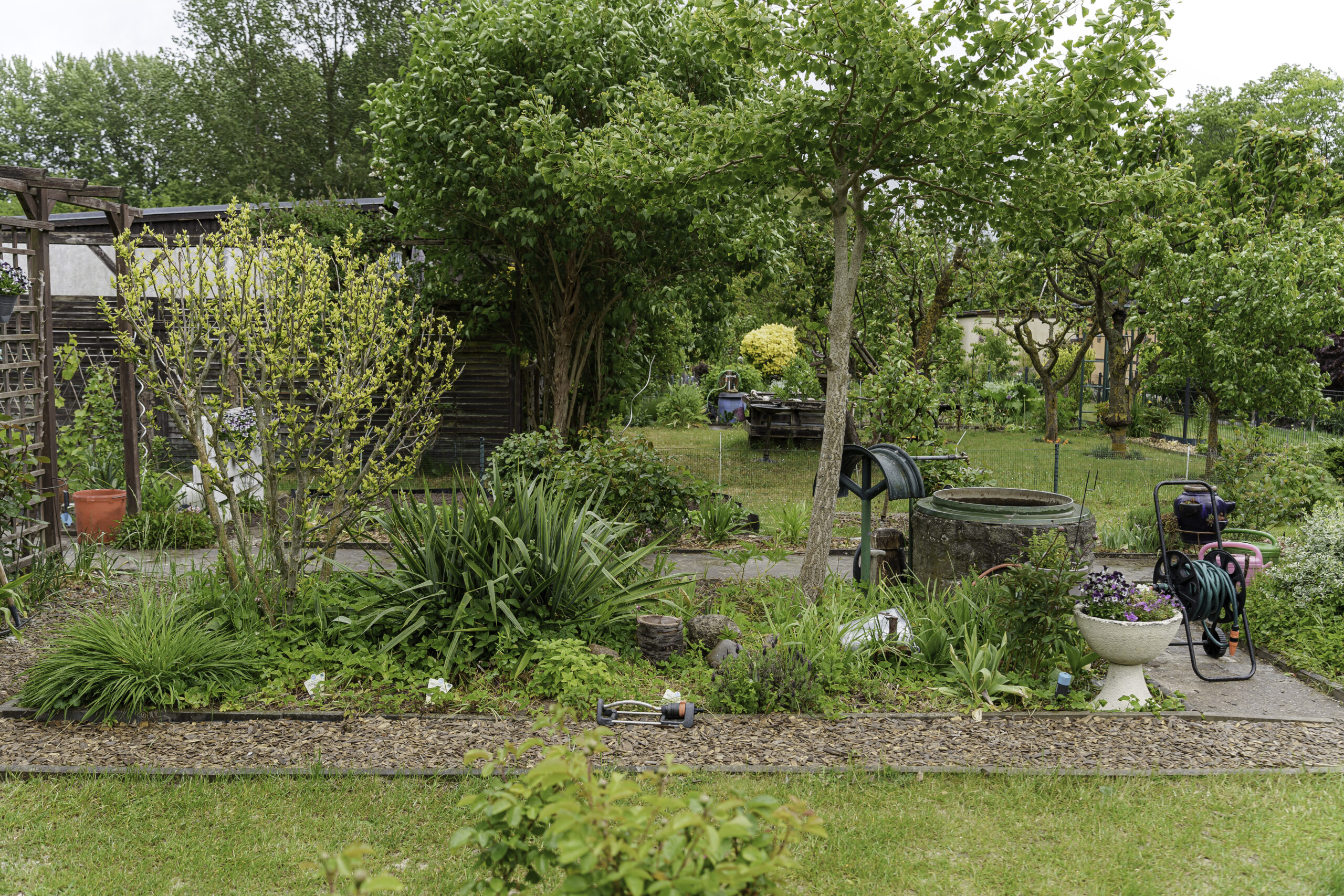 Garten in der Anlage »Burrkäwer« Ein grüner Garten in der Anlage »Burrkäwer« in Rostock.