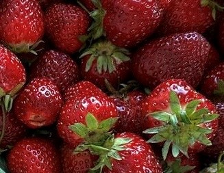 Erdbeeren DH Rote frische Erdbeeren.