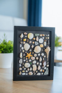 Muschelbild Ein schwarzes dekoratives Bild, auf dem sich viele hübsch angeordnete Muscheln befinden.