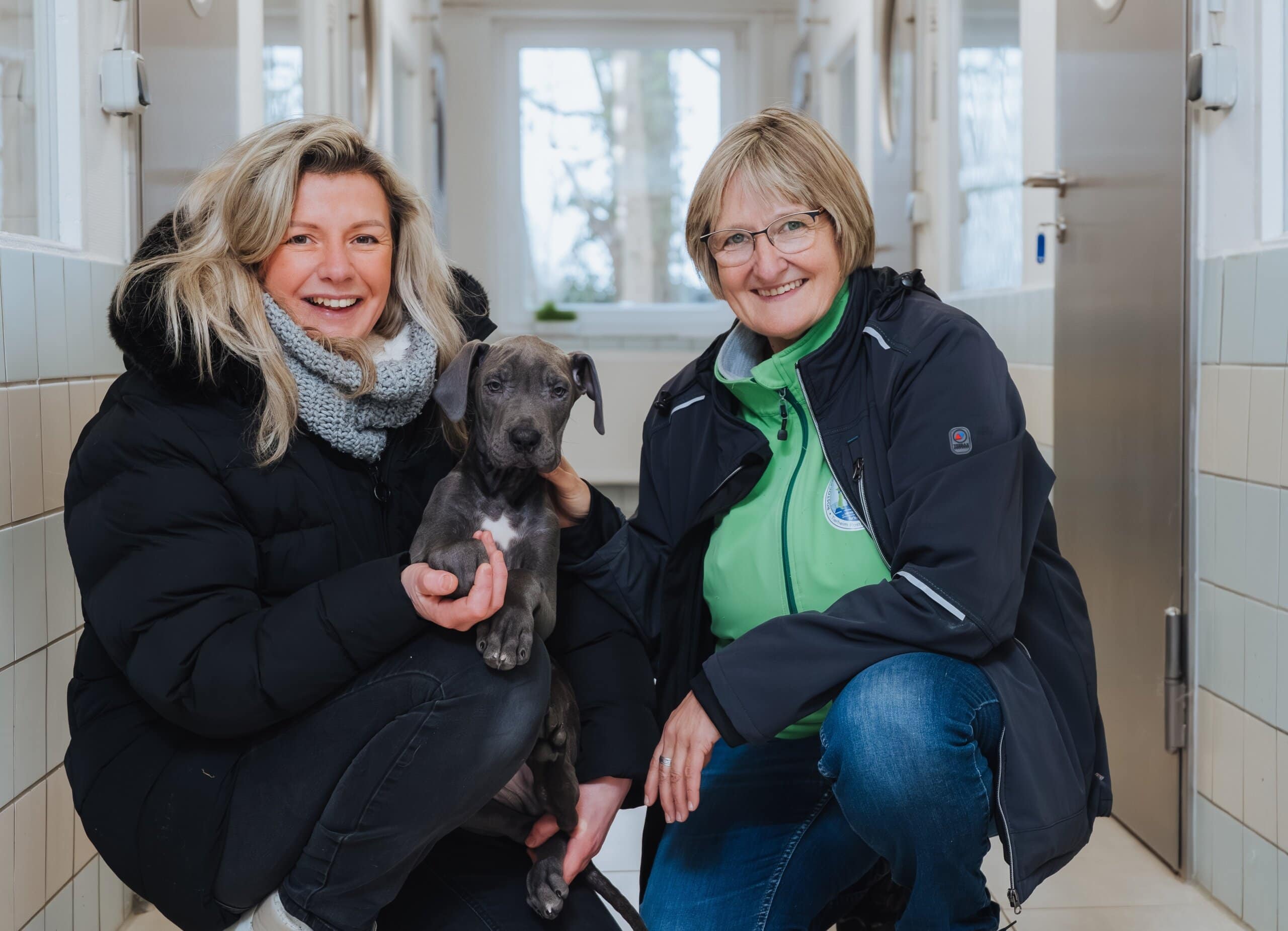 Angelika Streubel (li.), Tierheim-Mitarbeiterin und Vorsitzende des Rostocker Tierschutzvereins, mit Tierheim-Leiterin Regina Groß und einem herzallerliebsten silbergrauen Doggen-Mix-Welpen.