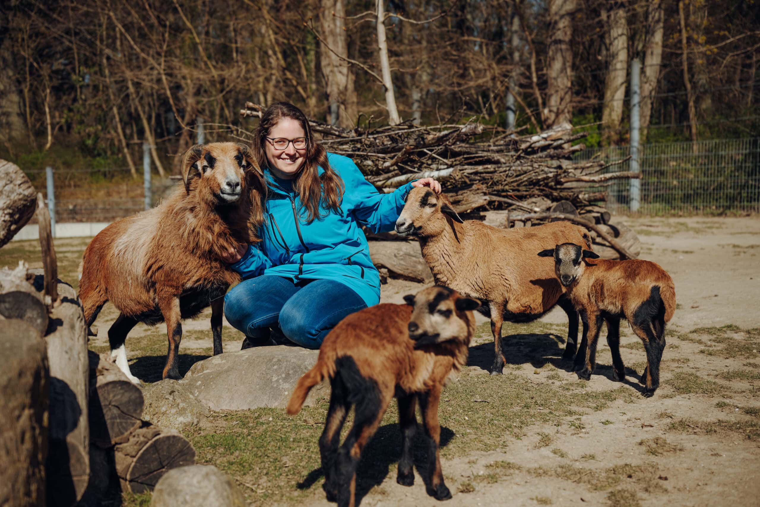 Kuratorin Daniela Lahn und ihre Kollegen vom Rostocker Zoo konnten sich in den vergangenen Wochen mehrfach über Nachwuchs freuen: Auch im Zwergziegen-Gehege