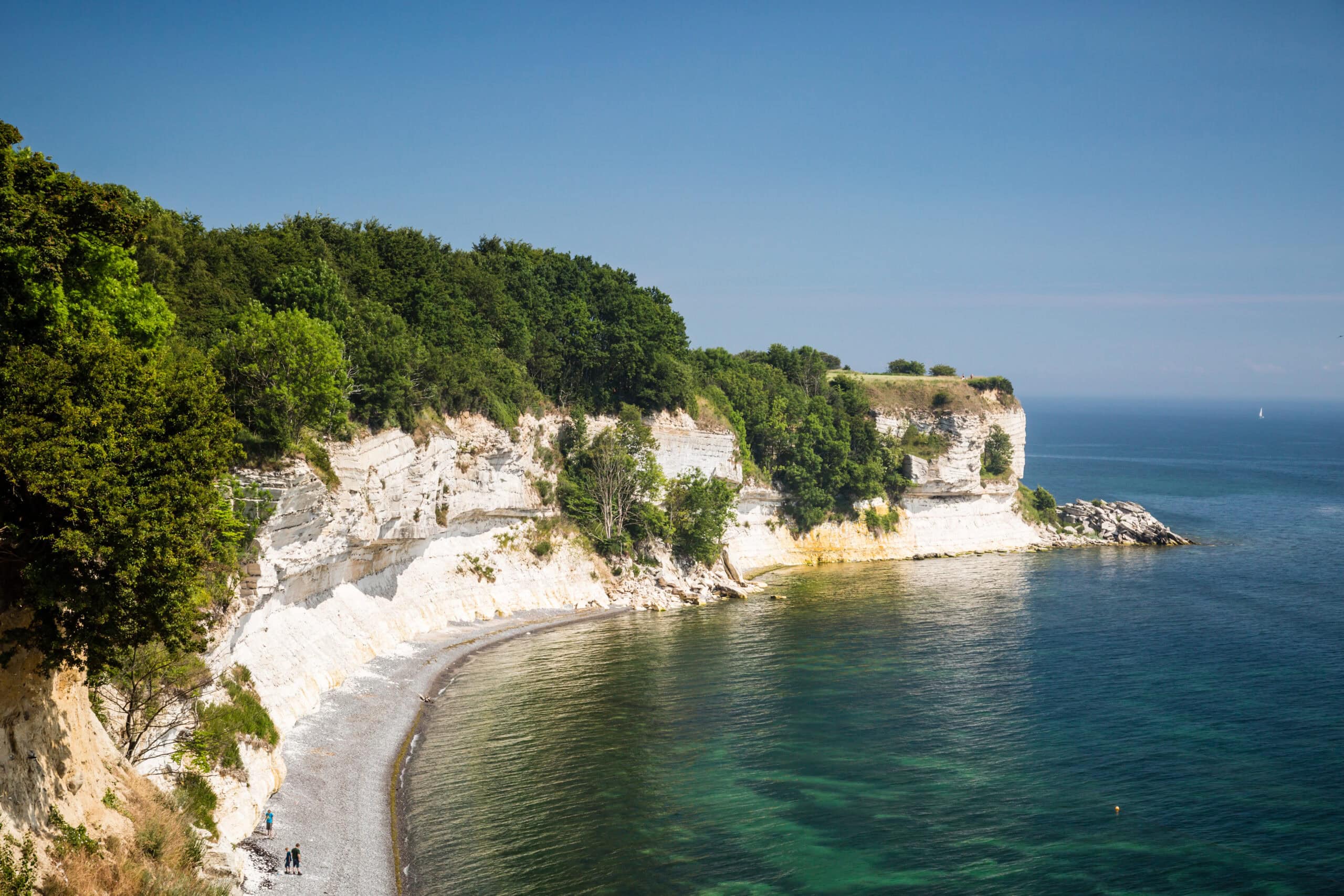 WIRO-Reiseklub: Blick auf Stevns Klint in Dänemark an einem Sommertag.
