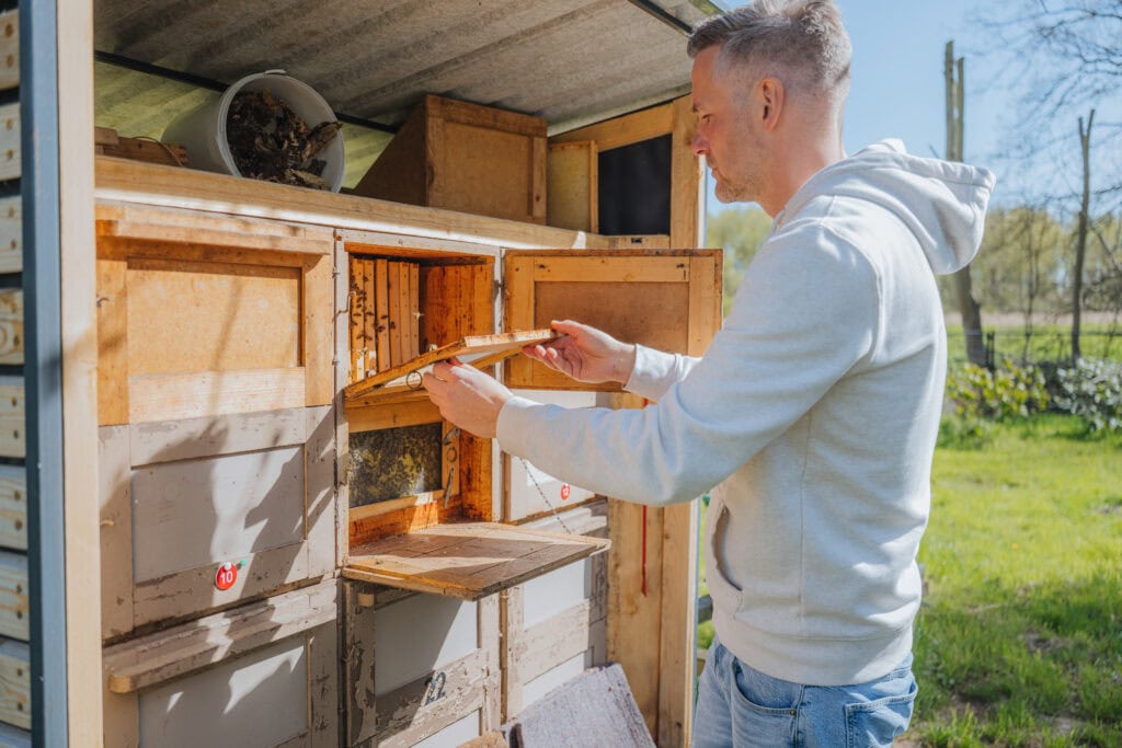Imker Matthias Kröppelien hat keine Angst vor Bienenstichen. Die Tiere bleiben friedlich, sagt er, solange man sich ruhig und rücksichtsvoll verhält.