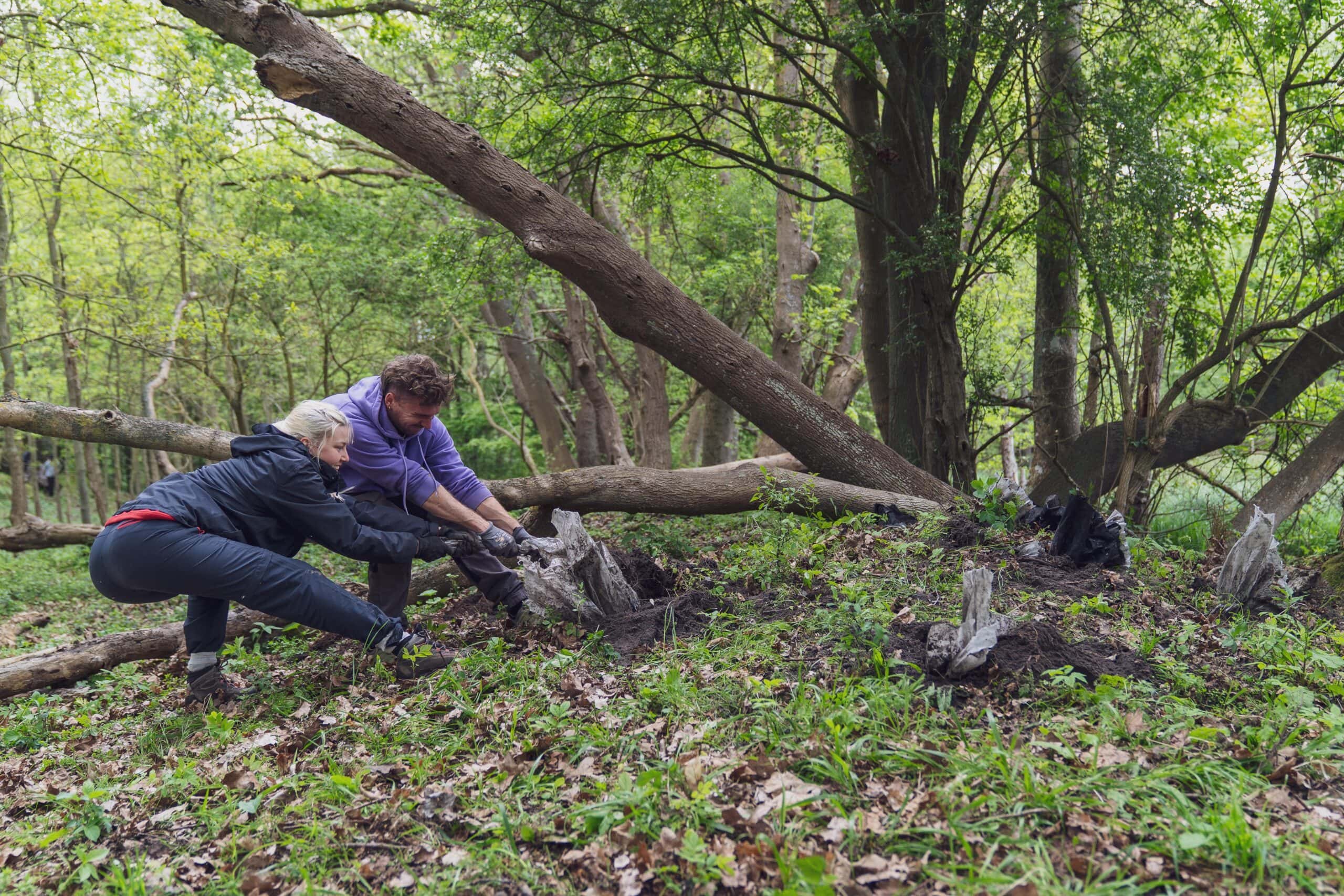 Neben dem Hütelmoor steckt noch Plastikfolie im Waldboden, aus Zeiten der Torfnutzung. Die Freiwilligen vom Rostocker Bergwaldprojekt haben säckeweise Plastik entsorgt.